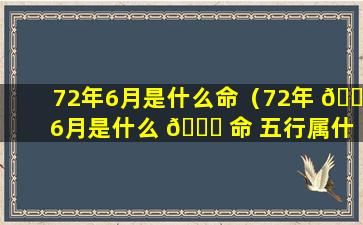 72年6月是什么命（72年 🐕 6月是什么 🍀 命 五行属什么属性）